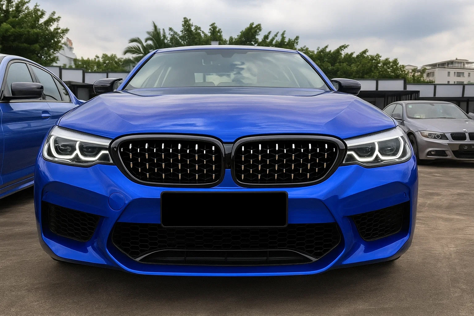 Ніздрі Diamond Silver V2 (2017–2020, чорна окантовка)